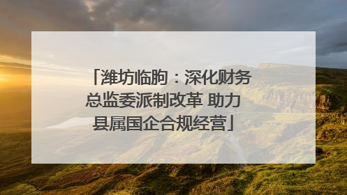 潍坊临朐：深化财务总监委派制改革 助力县属国企合规经营