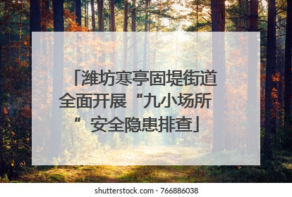潍坊寒亭固堤街道全面开展“九小场所”安全隐患排查