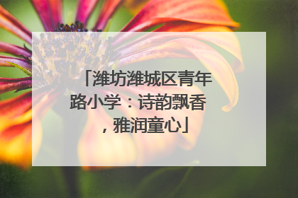 潍坊潍城区青年路小学：诗韵飘香，雅润童心