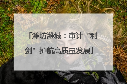 潍坊潍城：审计“利剑”护航高质量发展
