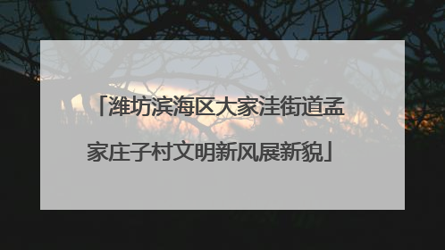 潍坊滨海区大家洼街道孟家庄子村文明新风展新貌