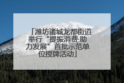 潍坊诸城龙都街道举行“提振消费·助力发展”首批示范单位授牌活动