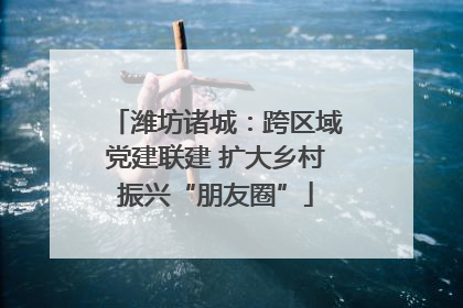 潍坊诸城：跨区域党建联建 扩大乡村振兴“朋友圈”