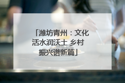 潍坊青州：文化活水润沃土 乡村振兴谱新篇