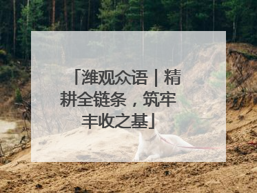 潍观众语|精耕全链条,筑牢丰收之基