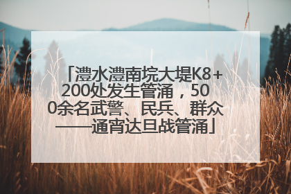 澧水澧南垸大堤K8+200处发生管涌，500余名武警、民兵、群众——通宵达旦战管涌