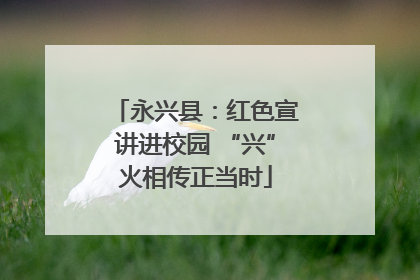 永兴县：红色宣讲进校园 “兴”火相传正当时