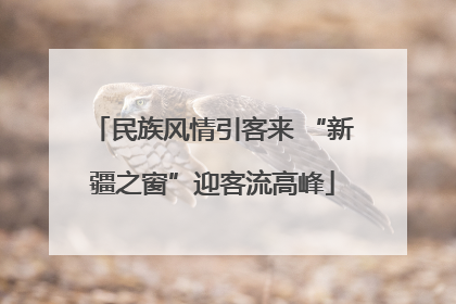 民族风情引客来 “新疆之窗”迎客流高峰