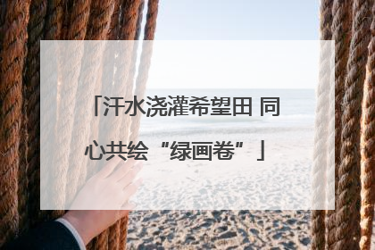 汗水浇灌希望田 同心共绘“绿画卷”