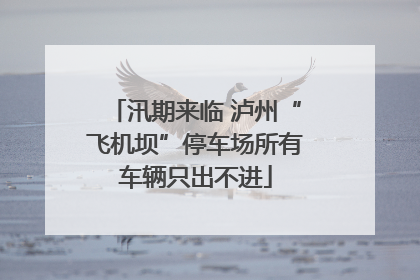 汛期来临 泸州“飞机坝”停车场所有车辆只出不进