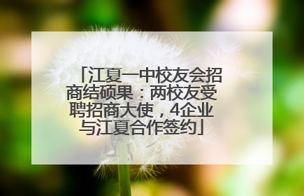 江夏一中校友会招商结硕果：两校友受聘招商大使，4企业与江夏合作签约