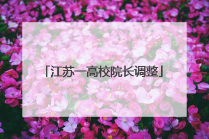 江苏一高校院长调整