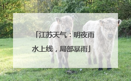 江苏天气：明夜雨水上线，局部暴雨