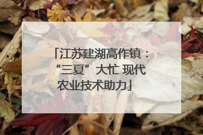 江苏建湖高作镇：“三夏”大忙 现代农业技术助力