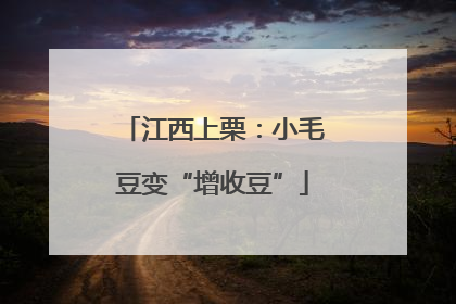 江西上栗：小毛豆变“增收豆”