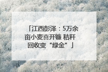 江西彭泽：5万余亩小麦喜开镰 秸秆回收变“绿金”