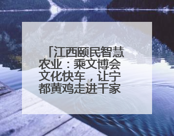 江西颐民智慧农业：乘文博会文化快车，让宁都黄鸡走进千家万户