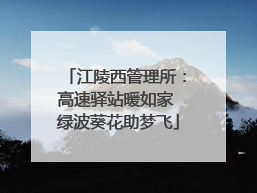江陵西管理所：高速驿站暖如家 绿波葵花助梦飞