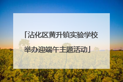 沾化区黄升镇实验学校举办迎端午主题活动