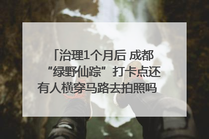 治理1个月后 成都“绿野仙踪”打卡点还有人横穿马路去拍照吗？｜民情瞭望