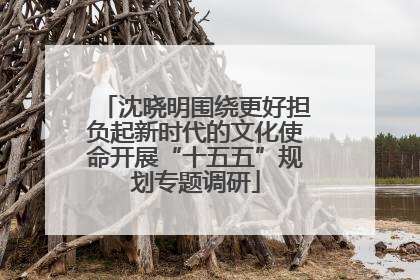 沈晓明围绕更好担负起新时代的文化使命开展“十五五”规划专题调研