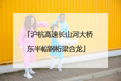 沪杭高速长山河大桥东半幅钢桁梁合龙