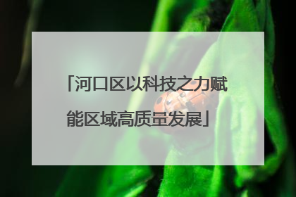 河口区以科技之力赋能区域高质量发展