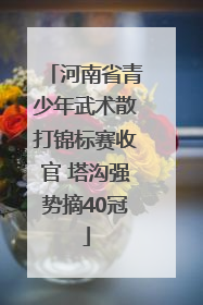 河南省青少年武术散打锦标赛收官 塔沟强势摘40冠