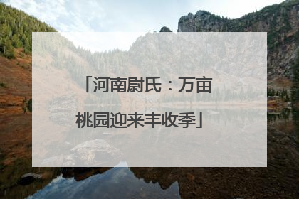 河南尉氏：万亩桃园迎来丰收季