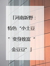 河南新野：特色“小土豆”变身致富“金豆豆”