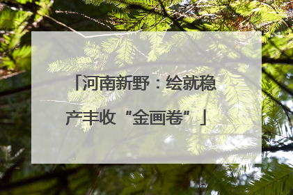 河南新野：绘就稳产丰收“金画卷”