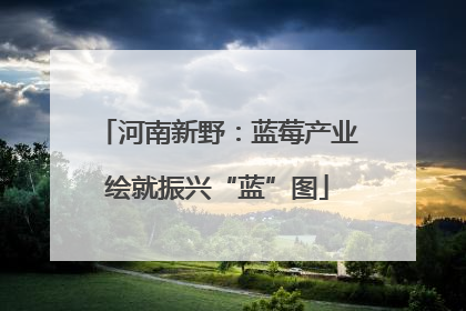 河南新野：蓝莓产业绘就振兴“蓝”图