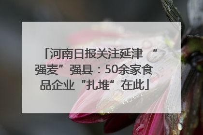 河南日报关注延津 “强麦”强县：50余家食品企业“扎堆”在此