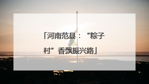 河南范县：“粽子村”香飘振兴路