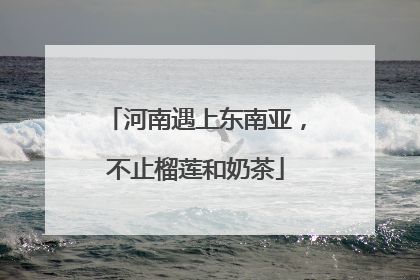 河南遇上东南亚，不止榴莲和奶茶