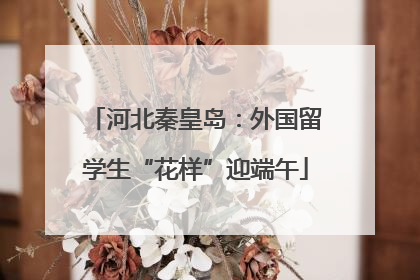 河北秦皇岛：外国留学生“花样”迎端午