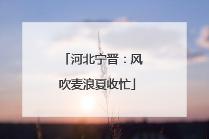 河北宁晋：风吹麦浪夏收忙