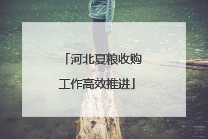 河北夏粮收购工作高效推进