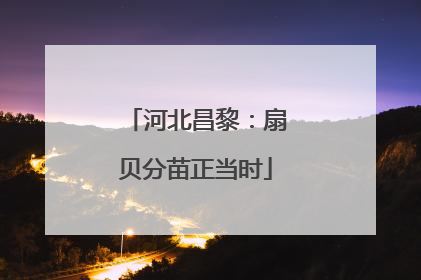 河北昌黎：扇贝分苗正当时