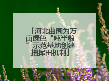 河北曲周为万亩绿色“吨半粮”示范基地创建指挥田机制