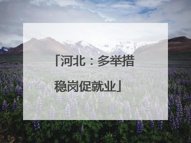 河北：多举措稳岗促就业