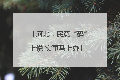 河北：民意“码”上说 实事马上办