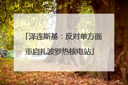 泽连斯基：反对单方面重启扎波罗热核电站