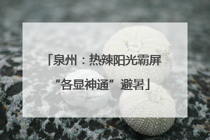 泉州：热辣阳光霸屏 “各显神通”避暑