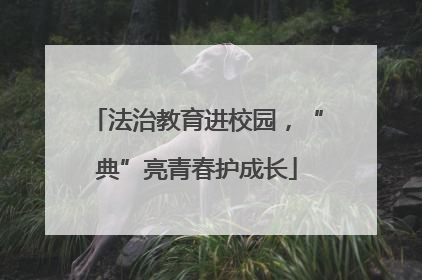 法治教育进校园，“典”亮青春护成长