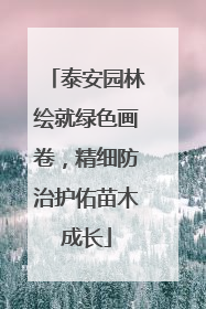 泰安园林绘就绿色画卷，精细防治护佑苗木成长