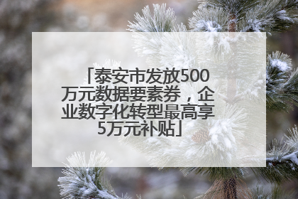 泰安市发放500万元数据要素券，企业数字化转型最高享5万元补贴