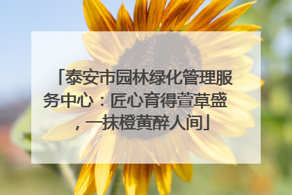 泰安市园林绿化管理服务中心：匠心育得萱草盛，一抹橙黄醉人间