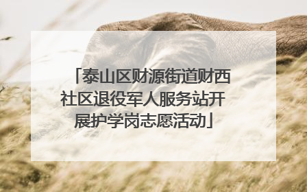 泰山区财源街道财西社区退役军人服务站开展护学岗志愿活动