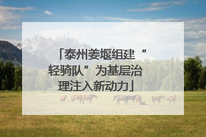 泰州姜堰组建“轻骑队”为基层治理注入新动力